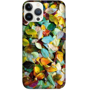 Multi Color Designs 016