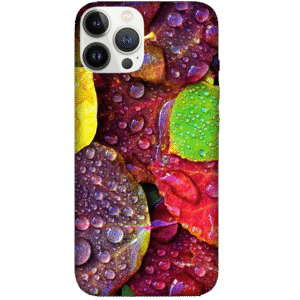 Multi Color Designs 028