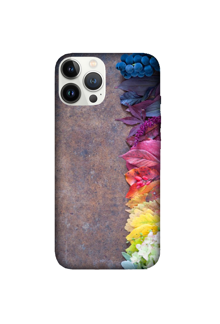 Multi Color Designs 082