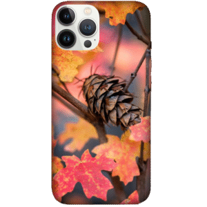 Multi Color Designs 093