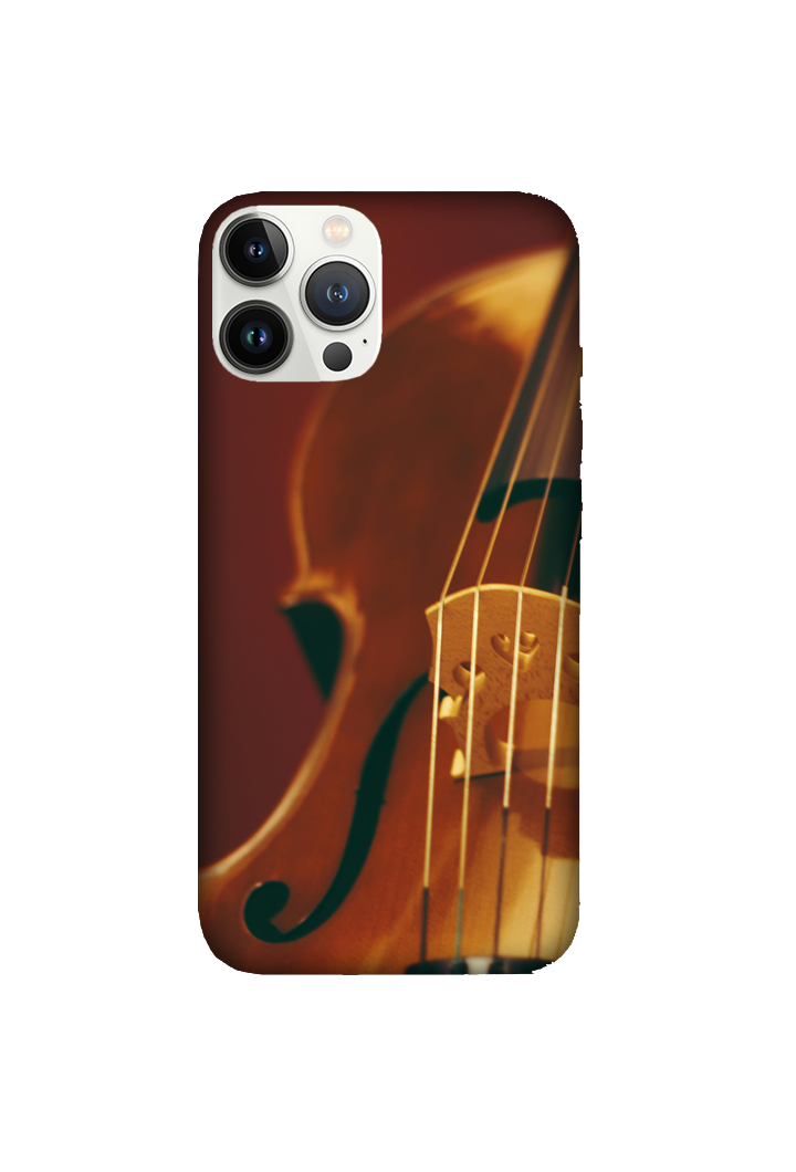 Musical Instruments 068